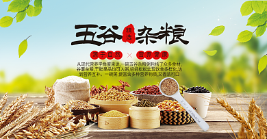 五谷杂粮电商食品海报banner