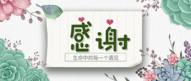 绿色信纸风格感恩节公众号封面