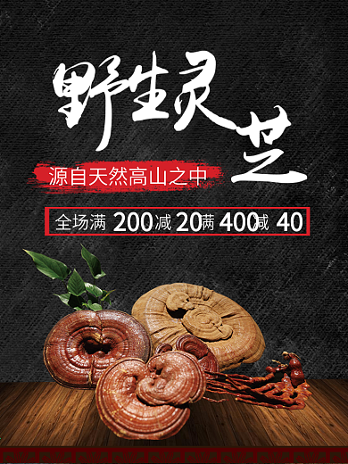 中国风滋补秋冬进补补品灵芝直通车主图