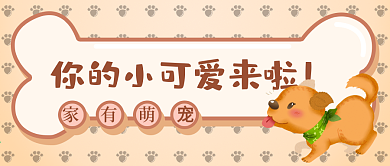 可爱宠物狗狗公众号封面