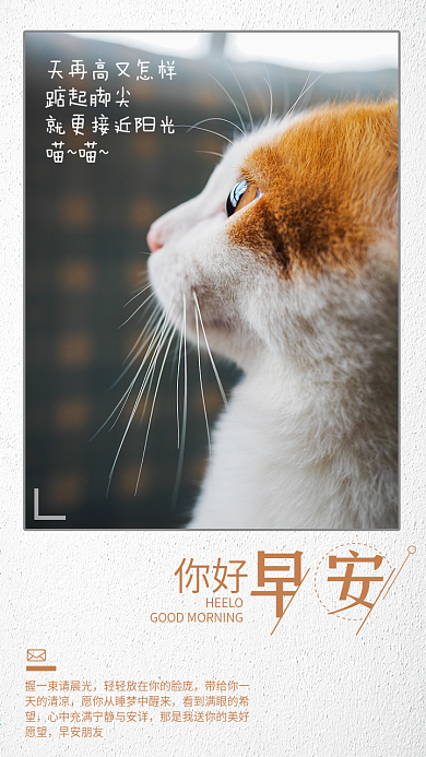你好早安唯美小清新猫咪朋友圈图片手机配图