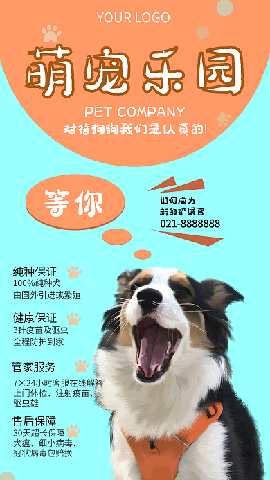 小清新宠物手机宣传海报