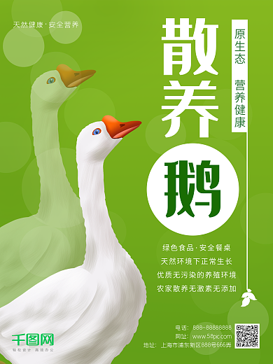 鹅宣传海报