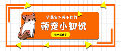 萌宠小知识公众号封面图