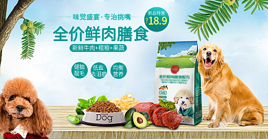 小清新宠物食品狗粮海报设计