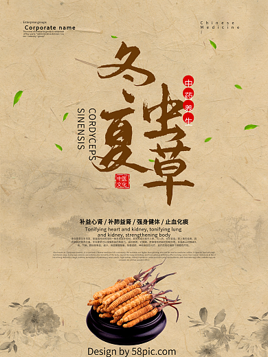 中医中药冬虫夏草海报