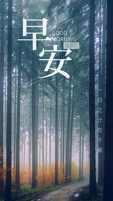 早安你好简约文艺小清新森林小路手机用图