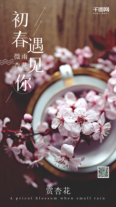 春季粉色唯美朋友圈赏杏花文艺海报