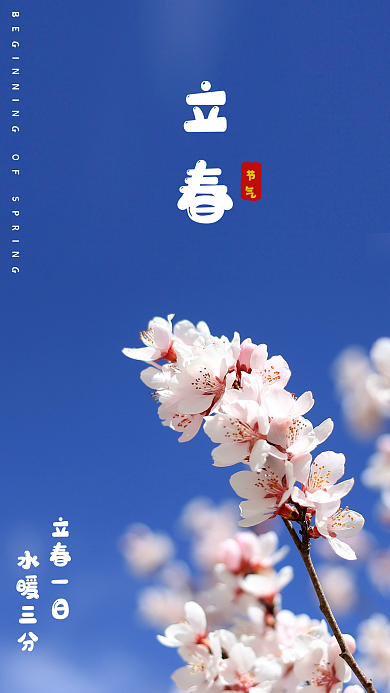 立春节气宣传手机海报