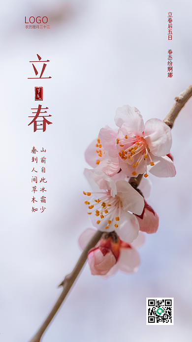 立春 梅花 粉色 节气海报 二十四节气