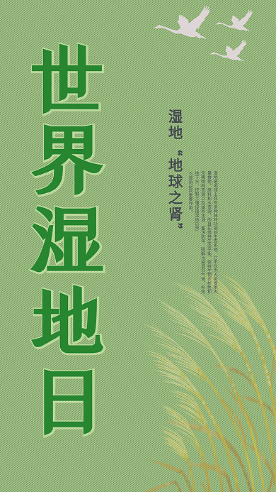简约绿色世界湿地日手机海报