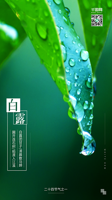 绿色小清新白露二十四节气宣传海报