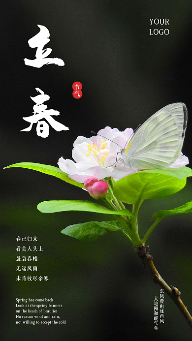 原创立春简约二十四节气手机海报
