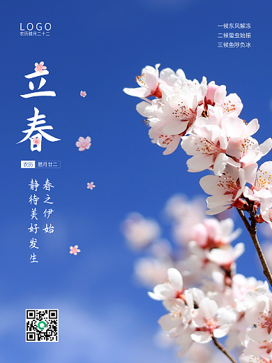 二十四节气简约立春海报梅花蓝天春天