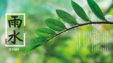 二十四节气雨水小清新植物简约展板
