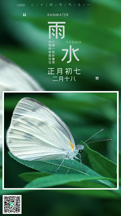 森系雨水二十四节气清新配图手机海报
