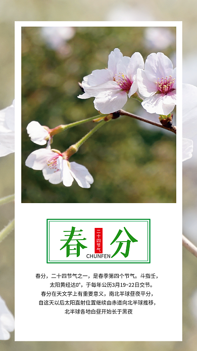 春分手机壁纸海报二十四节气