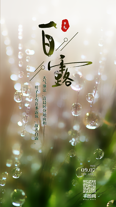 24节气白露手机海报用图