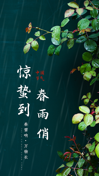 新媒体手机海报二十四节气惊蛰