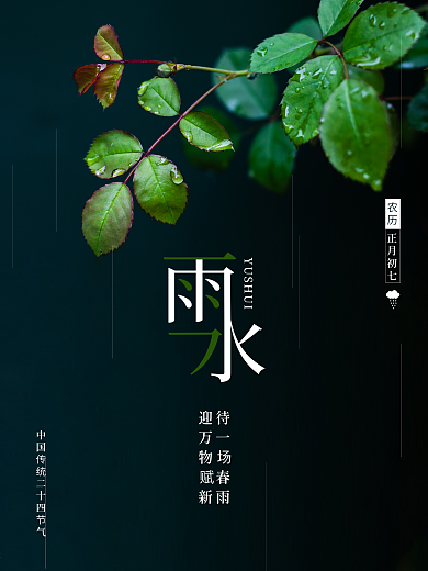 传统节气雨水节气祝福宣传海报