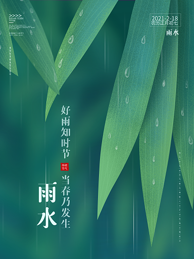 立春雨水谷雨简约节气海报竹叶森系风