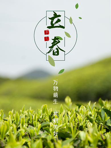 立春海报二十四节气传统节日绿色春天
