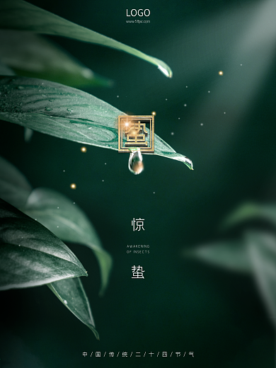 创意极简惊蛰雨水春分二十四节气商务海报