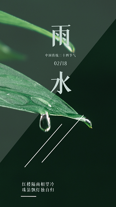 雨水节气节日推广宣传手机海报
