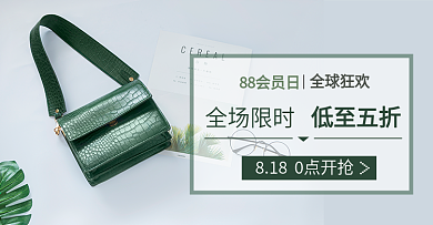 88全球狂欢会员日钻展