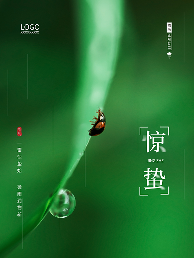 二十四节气惊蛰雨水节气舂分绿色海报