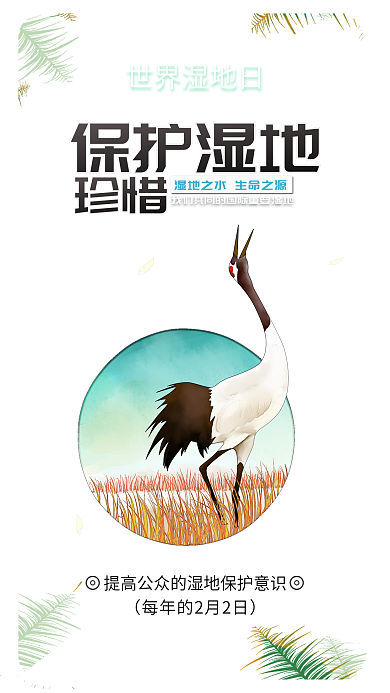 世界湿地日保护湿地爱护水资源插画手机海报