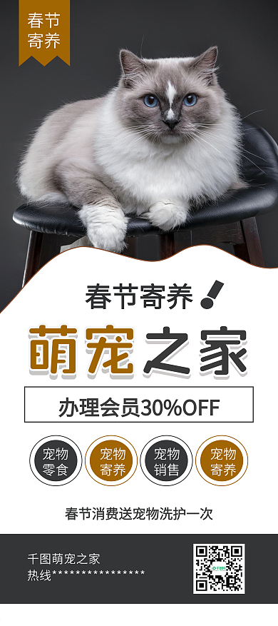 布偶猫宠物店宣传展架易拉宝