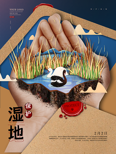 国际湿地日保护湿地海报