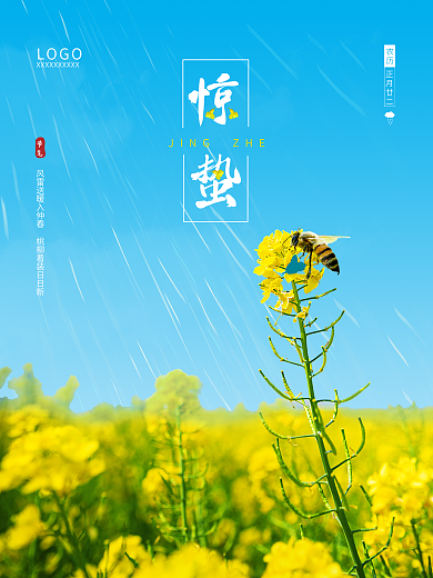 二十四节气惊蛰雨水节气油菜花舂分春天海报