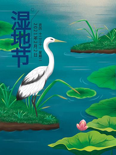 原创插画湿地节保护生态环境宣传节日海报