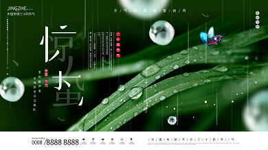 惊蛰节气中国二十四节气传统节气海报