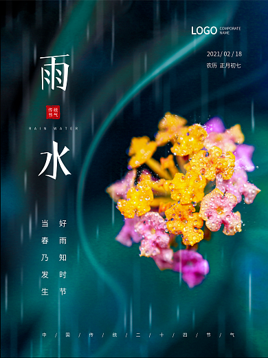 雨水传统二十四节气简约清新下雨宣传海报