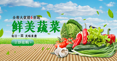 鲜美蔬菜banner