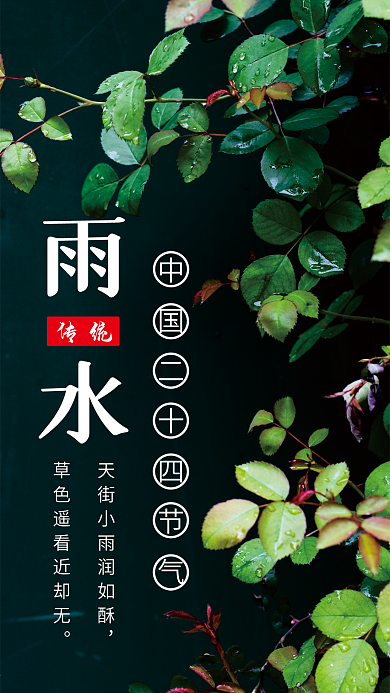 雨水手机壁纸海报二十四节气