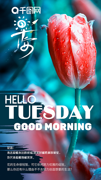 个性郁金香花语星期二励志早安日签图