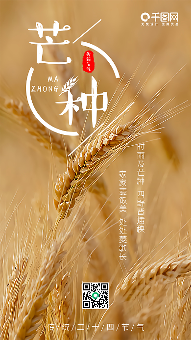 芒种二十四节气简约小清新手机配图