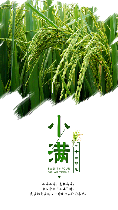 小满二十四节气立体简约手机用图