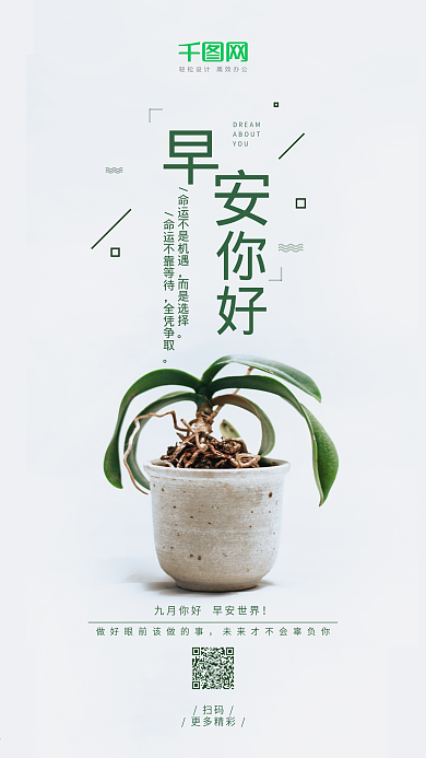 早安你好清新简约多肉绿植美好生活手机海报