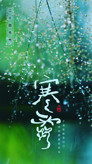 寒露节气水珠秋天露水手机海报设计