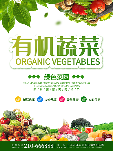 有机蔬菜绿色菜园