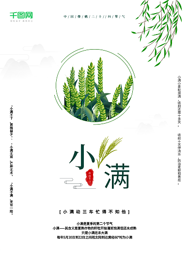二十四节气小满节日小清新海报