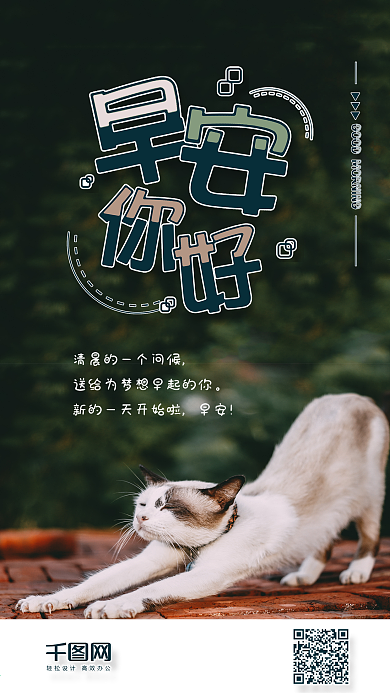 早安你好简约猫咪手机组图