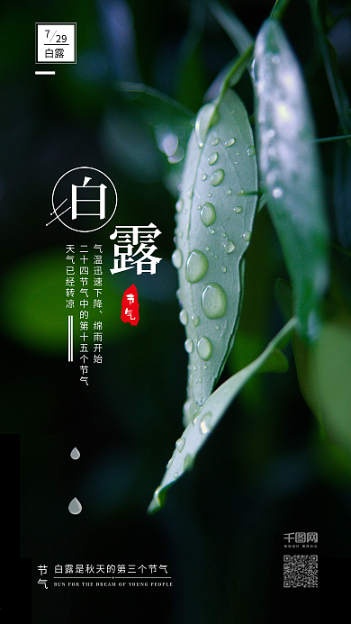 绿色小清新白露节气手机配图海报