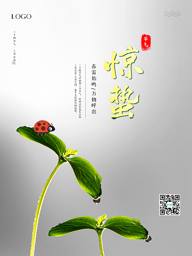 惊蛰二十四节气海报