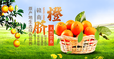 淘宝天猫秋季水果橙子脐橙海报banner